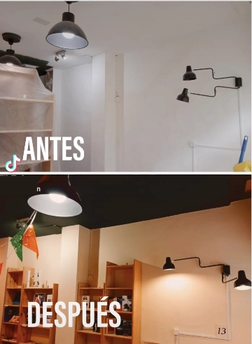 pintores profesionales